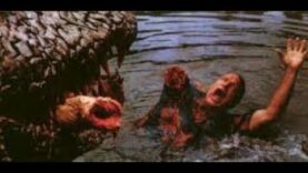 Grands massacre a la plage